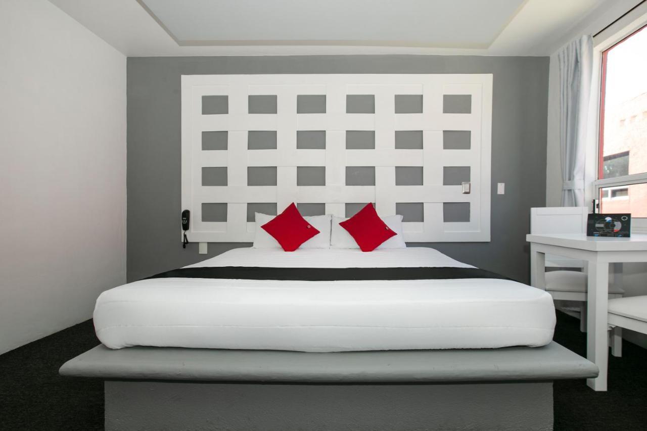 Hotel Euro Confort,Pachuca Экстерьер фото